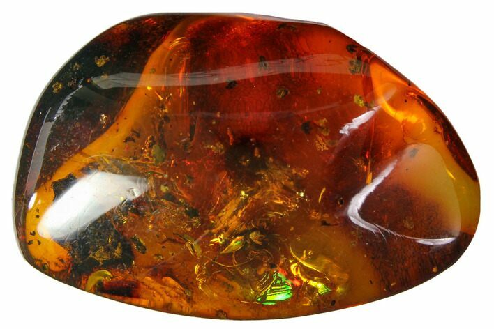 Polished Chiapas Amber ( g) - Mexico #114780